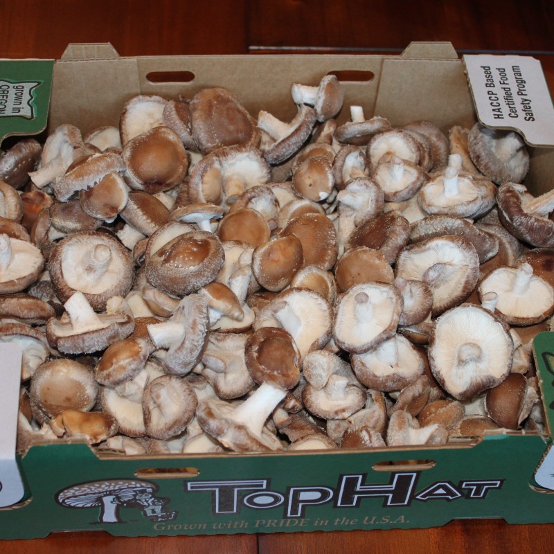 5 lb box shiitake mushrooms